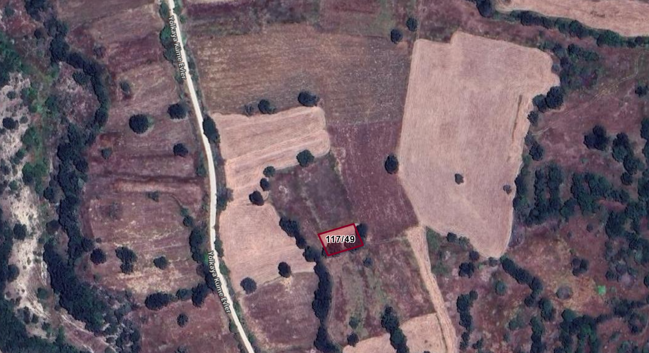 Fotoğraf
